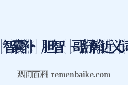 智囊补·胆智·哥舒翰近义词是什么意思的图片